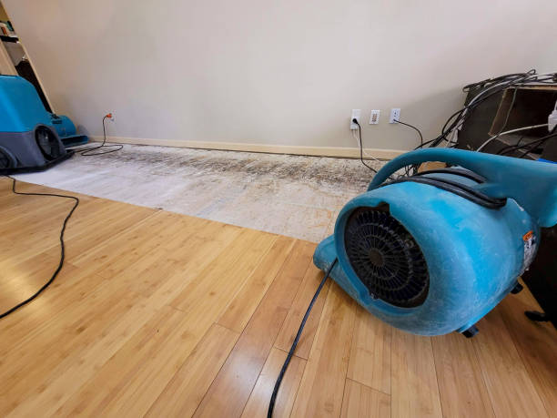 Reliable Basement Flood Cleanup contractor in Martin, MI by Hirex Water Damage