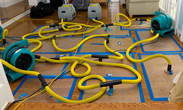 Professional Basement Flood Cleanup technician working in Martin, MI